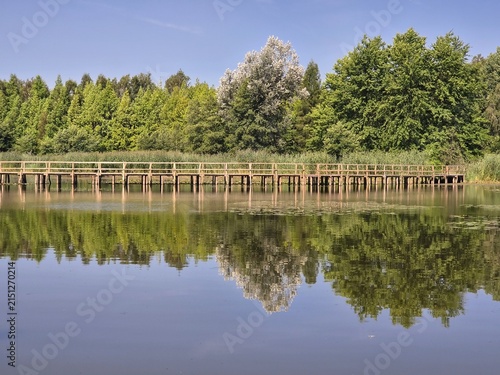 A lake in Białobok Arboretum in Lower Stradom with a wooden platform on the lake