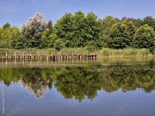A lake in Białobok Arboretum in Lower Stradom with a wooden platform on the lake