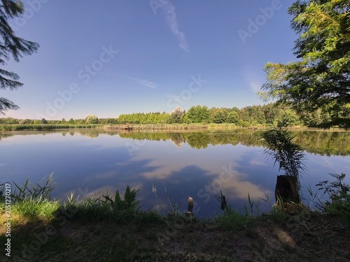 A lake in Białobok Arboretum in Lower Stradom with a wooden platform on the lake