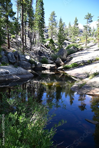 Obraz na płótnie Jackass creek in California