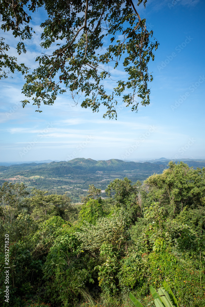 Fototapeta premium Vertical view of lush tropical forest and distant mountain landscape
