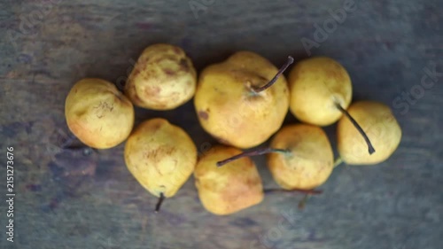 Top view of small yellow wild pears arranged on a rustic wooden table, slow motion horizontal video.
