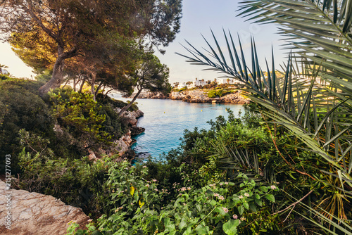 Canvas Print Palm framed coastal view at Cala Esmeralda, Mallorca, Spain.