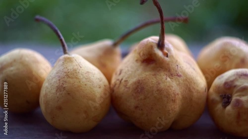 Extreme close up slow motion camera panning of ripe yellow wild pears on a rustic wooden table with a blurry garden background, horizontal video.