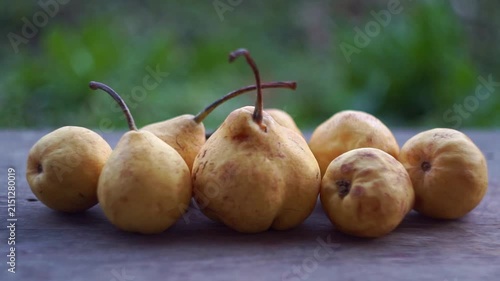Slow motion camera panning of small yellow wild pears in a row on a rustic wooden table with a blurred green garden background, horizontal video.