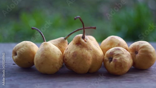 Slow motion camera panning of small yellow wild pears in a row on a rustic wooden table with a blurred green garden background, horizontal video.