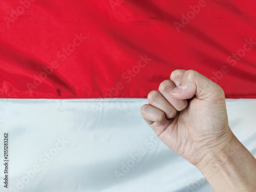 Photography Raised clenched fist in front of red and white Indonesian flag, symbolizing Independence Day celebration, national identity, pride, unity, patriotism, freedom, strength, civic, solidarity concepts