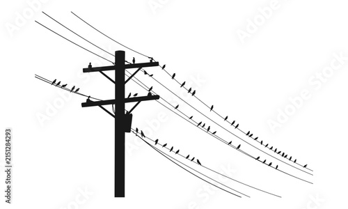 Foto Many birds perched on electric power lines against a white background in a minim