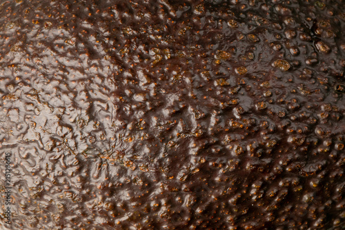 Macro close up of avocado skin with warm natural lighting and rich texture, ideal for food packaging, cookbook spreads, culinary editorial, lifestyle blogs, and social media