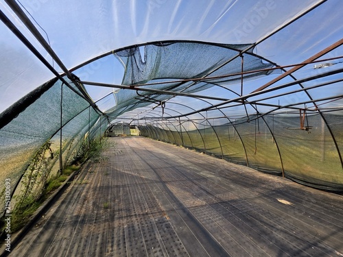 Empty commercial greenhouse tunnel with shade cloth netting