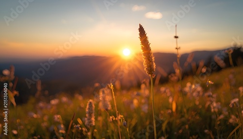 Beautiful Mountain Sunrise Over Green Meadow Landscape with Warm Sunrays, Golden Bokeh and Fresh Morning Light, Peaceful Scenic Nature Background
