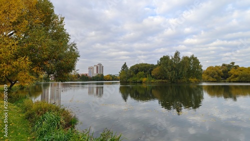 Cuadro en lienzo Bushes, birches and willows with branches bent over the water grow on the shore of the lake