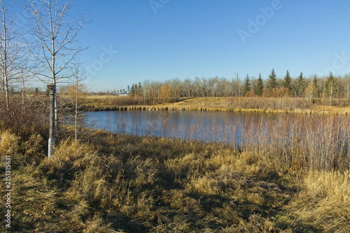Pylypow Wetlands in the Early Winter
