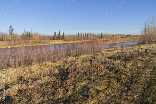 Pylypow Wetlands in the Early Winter