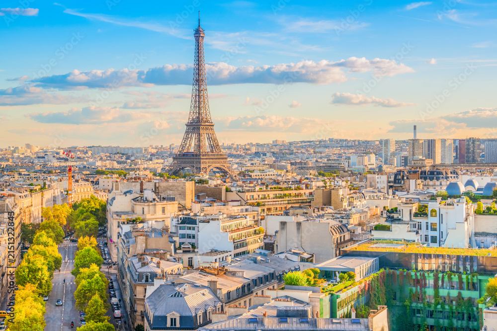 Fototapeta premium eiffel tour and Paris cityscape