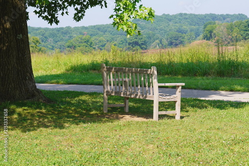 Wooden Bench By a Path Under a Shade Tree