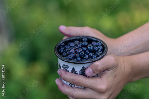 Close up of messy children hands stained with blueberry juice holding metal mug filled with fresh berries