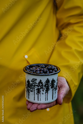Close up of female hand holding vintage metal mug filled with fresh wild blueberries 