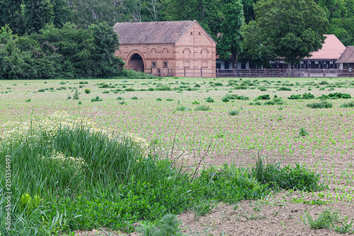 Obraz na płótnie Historic Brick Barn And Farmhouse Amid Lush Green Countryside, Forest And Meadow