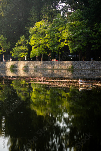 Cuadro en lienzo Green trees grow along a stone embankment above calm lake water on a sunny day