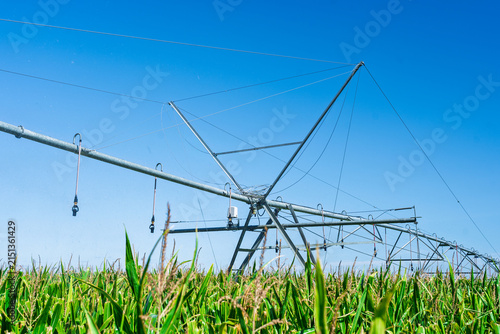 Fotografie Center pivot irrigation system watering a corn field on a sunny day