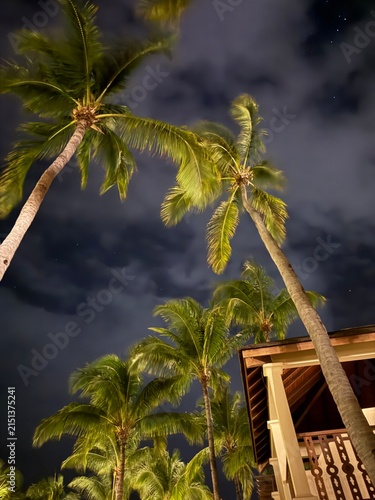 Tropical palm trees at night with warm resort lighting and cloudy sky