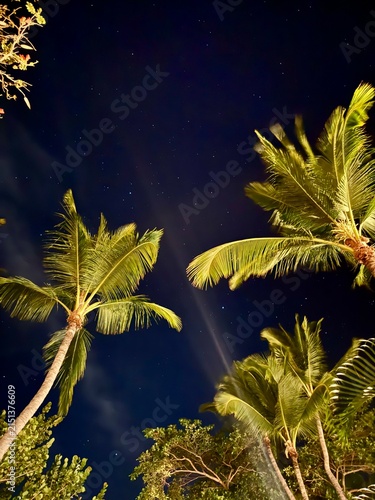 ropical palm trees under a starry night sky with light beams — vertical