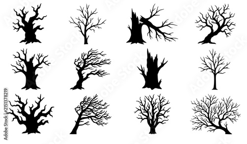 Dried Tree Vector Illustration Set