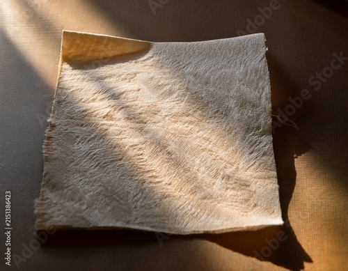 natural sunlight catches the organic fibers of a delicate handmade sheet of paper resting upon a surface to create soft shadows and glowing highlights for artistic projects and stationery designs