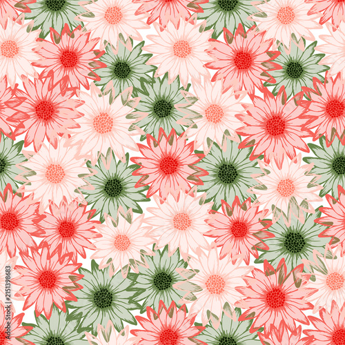 African daisy cute summer seamless pattern. Osteospermum bloom with