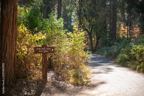 Принти на полотні Enjoying the John Muir Trail near Yosemite National Park in California during su