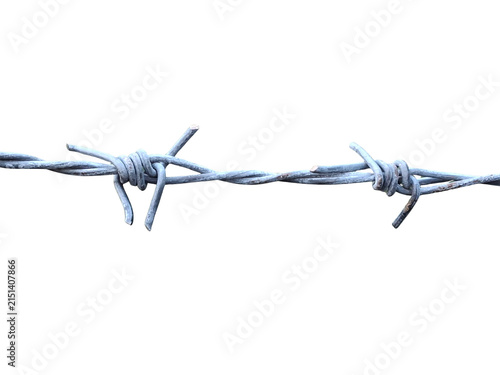 Barbed wire strand, twisted metal fence barrier, security boundary detail for protection isolated PNG with Transparent Background