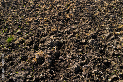Canvas Print Plowed field reveals fertile soil