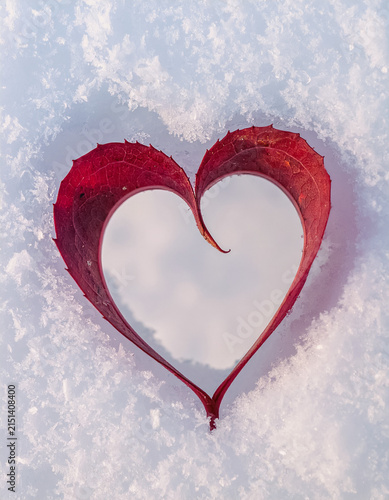 red maple leaf in the shape of a heart