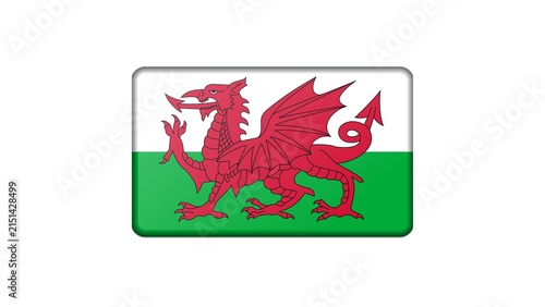 Konstfotografi Wales national flag isolated on white background
