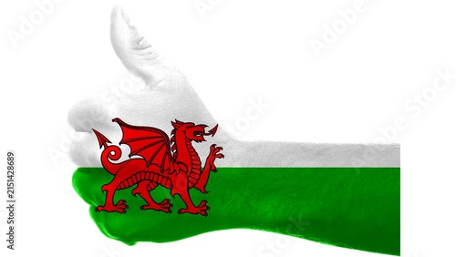 Canvastavla Wales national flag isolated on white background