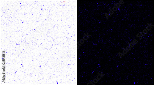 Quadro su tela Abstract speckled texture background, minimalist white and black grainy surface,