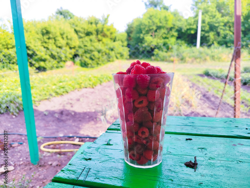 Glass cup full of fresh raspberries on outdoor table