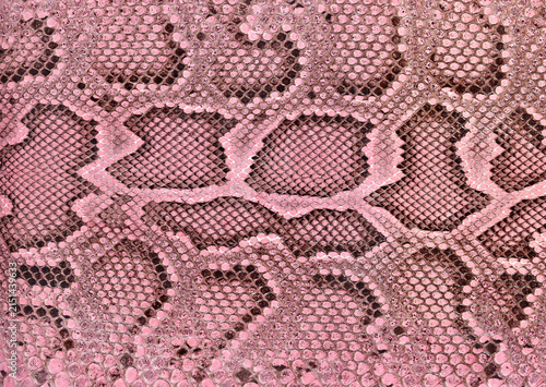 Pink Snake Skin Texture Macro Background