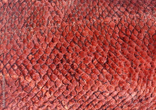 Orange Lizard Skin Texture Macro Background