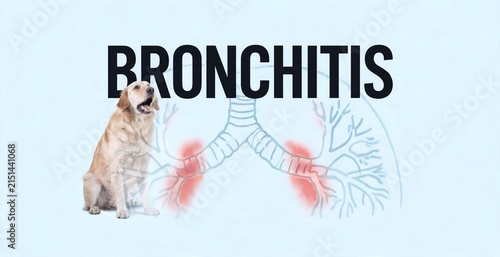 A sad-looking golden retriever sits beside a stylized illustration of lungs highlighting inflammation, with the word BRONCHITIS prominently displayed, representing a common canine respiratory ailment.
