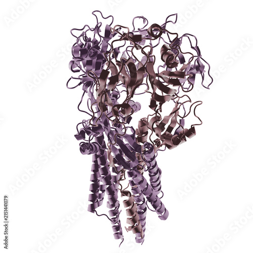 Фотография Macromolecule