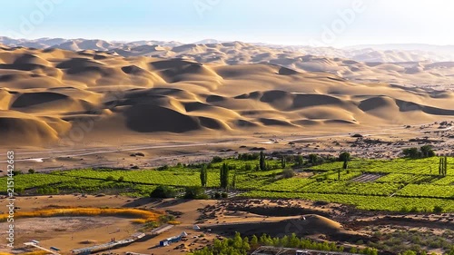 Sunlit dunes of Kumtag Desert surround a green vineyard oasis in Xinjiang, China, highlighting desert agriculture, rural tourism, and the contrast between arid terrain and cultivation.