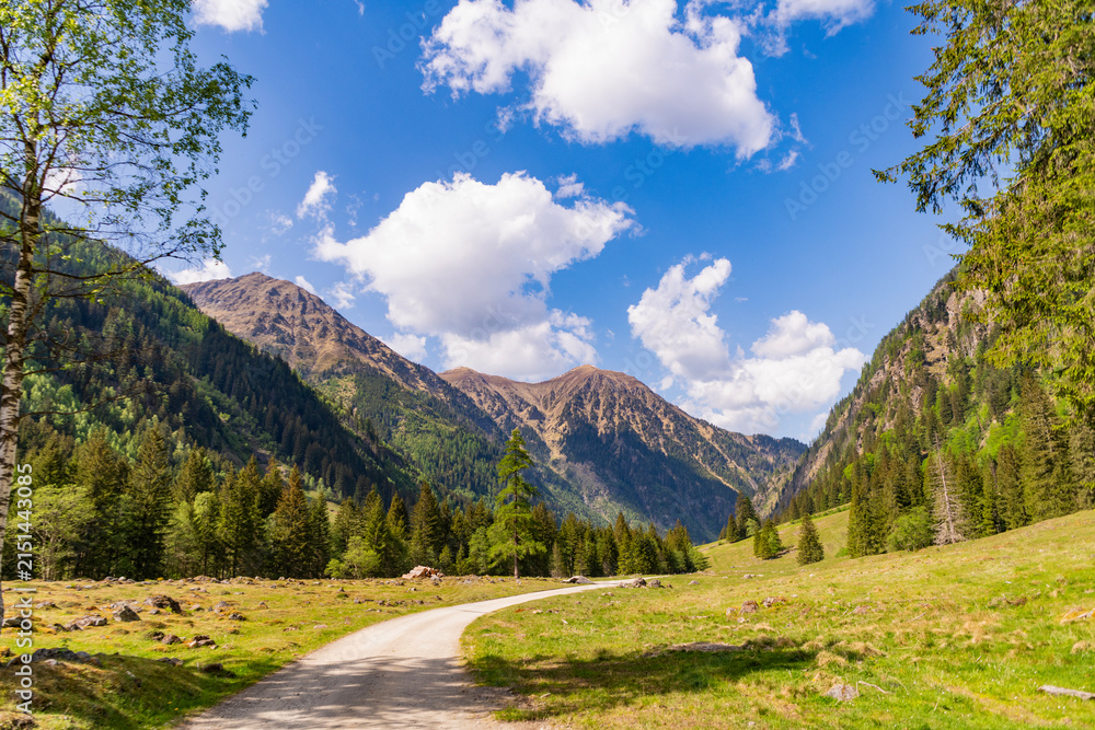Obraz premium Breathtaking summer day in wild mountain with coniferous forest trail. Mountain landscape trail. Road in mountainous landscape with cloudy sky. Scenic green hill mountain