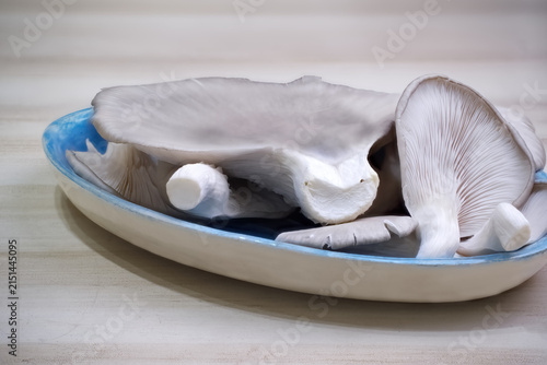 Fresh oyster or girgolas mushrooms filling oval ceramic dish