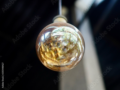 Close-up shot of a round vintage Edison filament light bulb reflecting garden cafe interior against a dark background