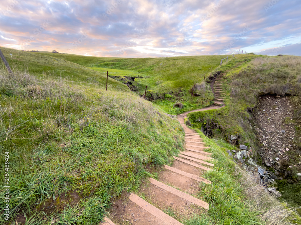 Obraz premium Winding wooden steps in a lush green valley on the Heysen Trail South Australia