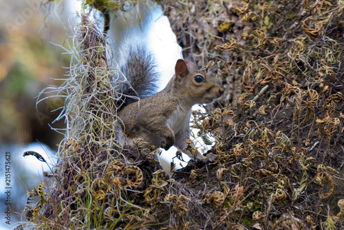 Photography Fauna01