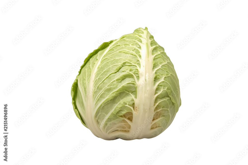 Fototapeta premium Round pale green lettuce head