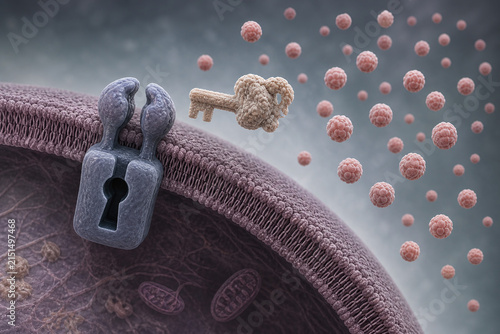 Insulin Resistance Blocking Glucose Entry Into Cell